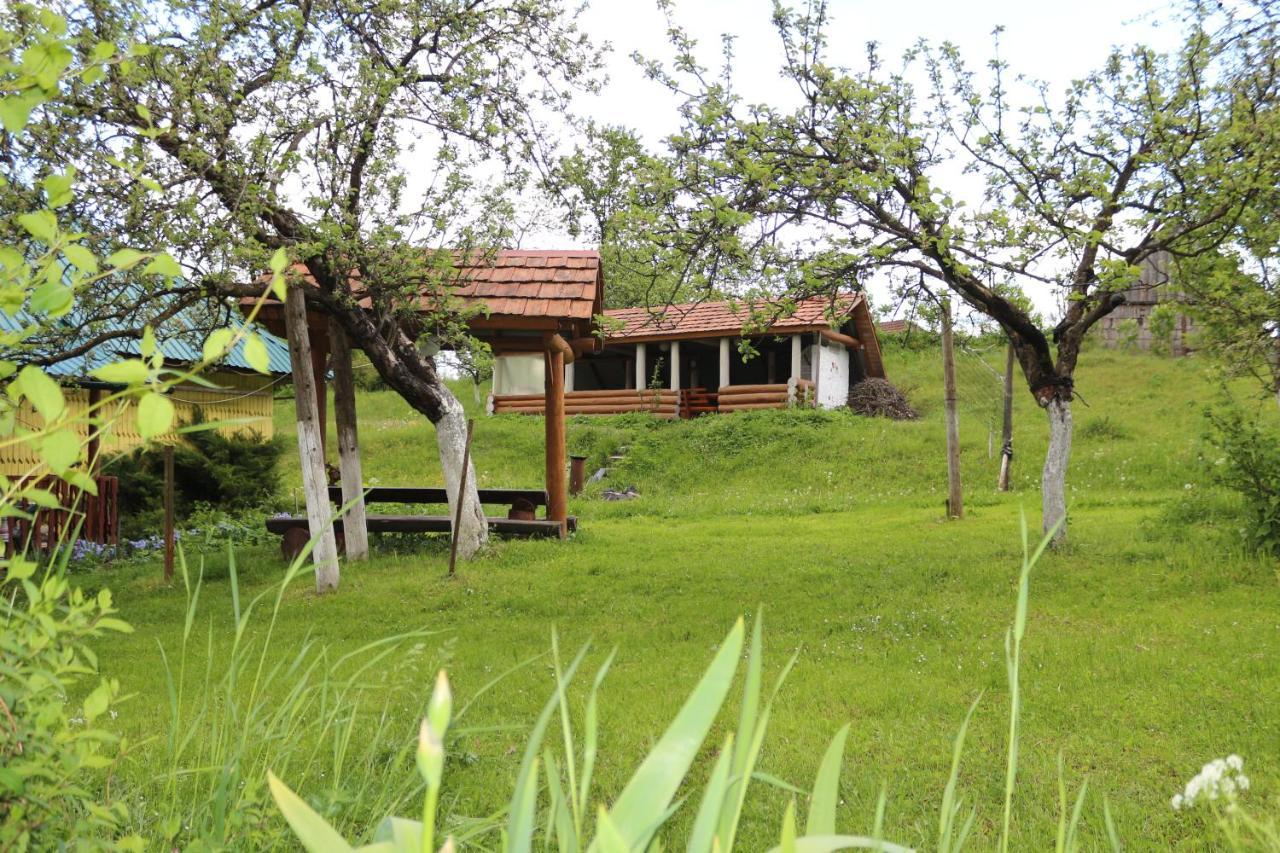 Садиба Під Гострою Zhdeniievo Exterior foto